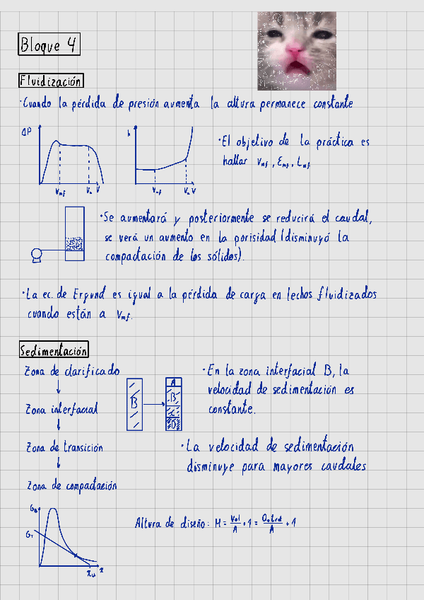 Miniatura del documento Resumen-Seminario-Bloque-3-y-4.pdf