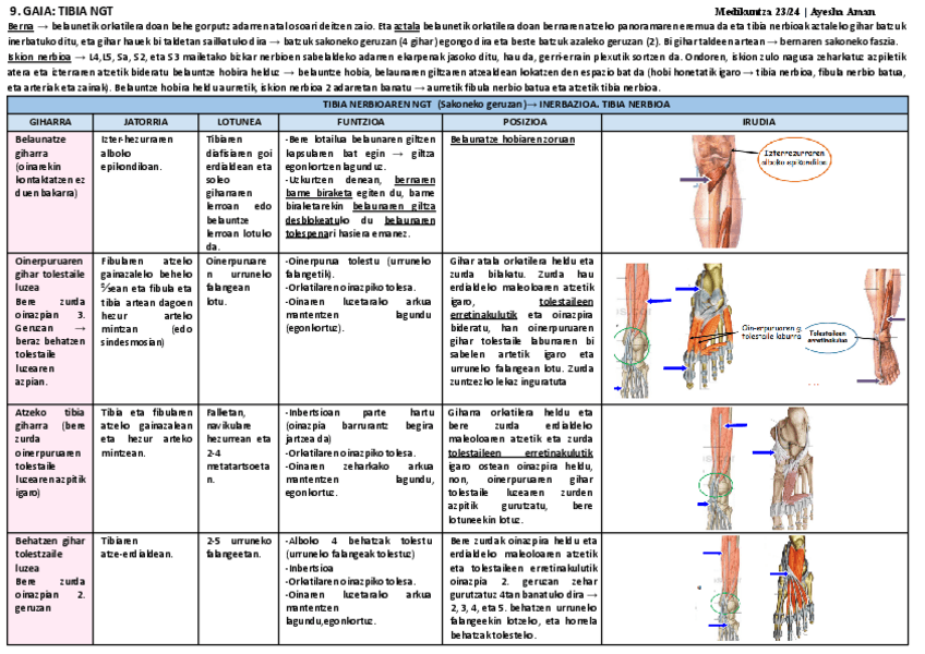Miniatura del documento 9.-GAIA.pdf