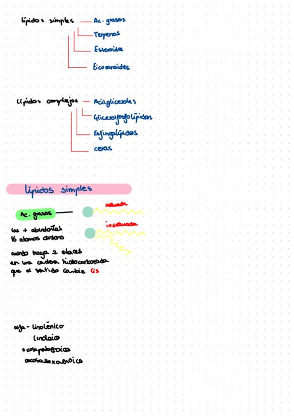 Miniatura del documento Lipids.pdf