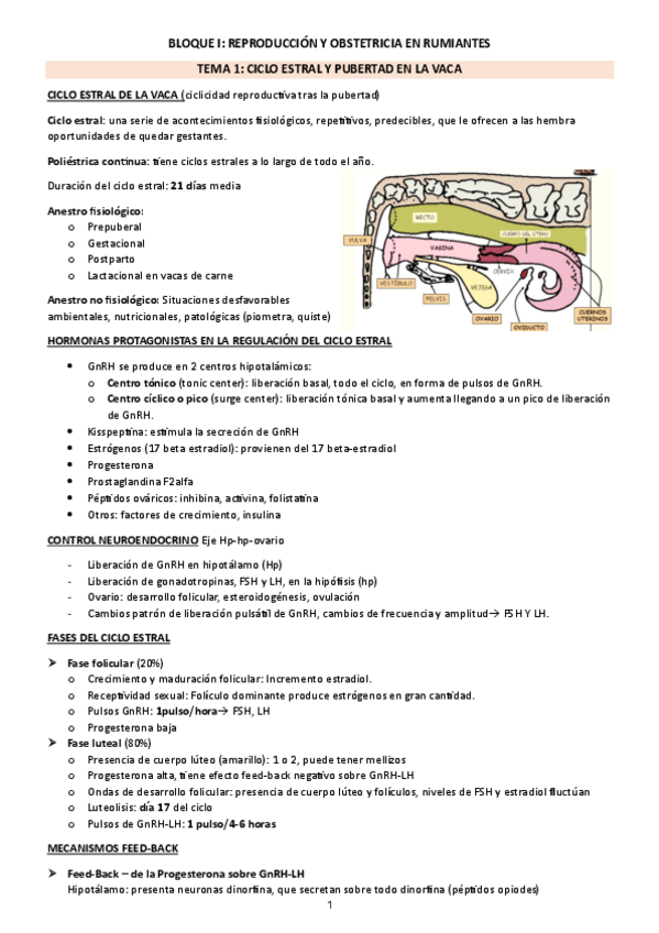 Miniatura del documento BLOQUE-I-RUMIANTES-I.pdf