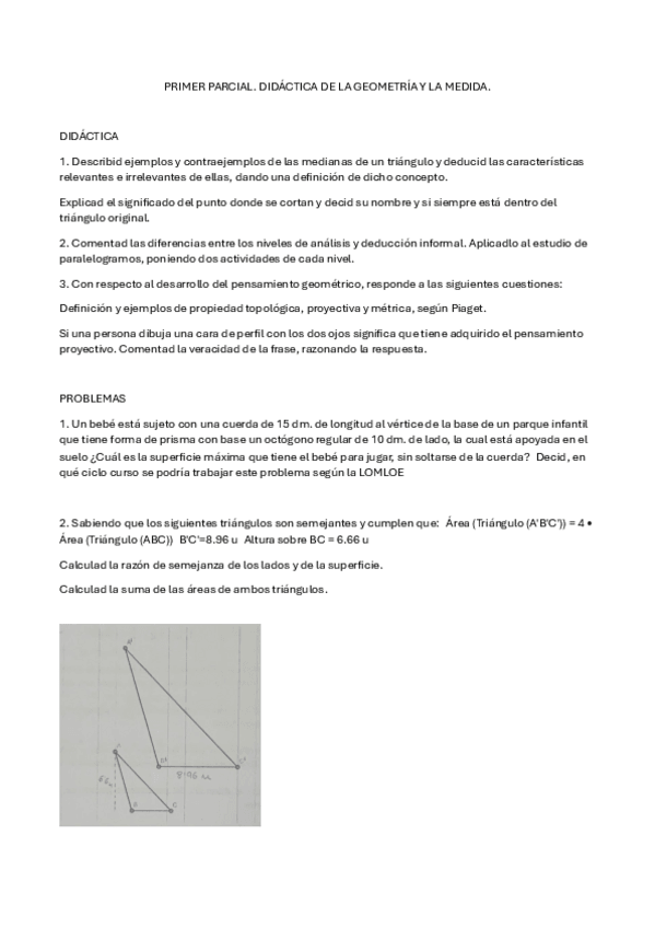 Miniatura del documento PRIMER-PARCIAL.-DIDACTICA-DE-LA-GEOMETRIA-Y-LA-MEDIDA.pdf