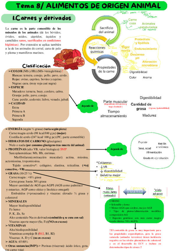 Miniatura del documento Tema-8.pdf