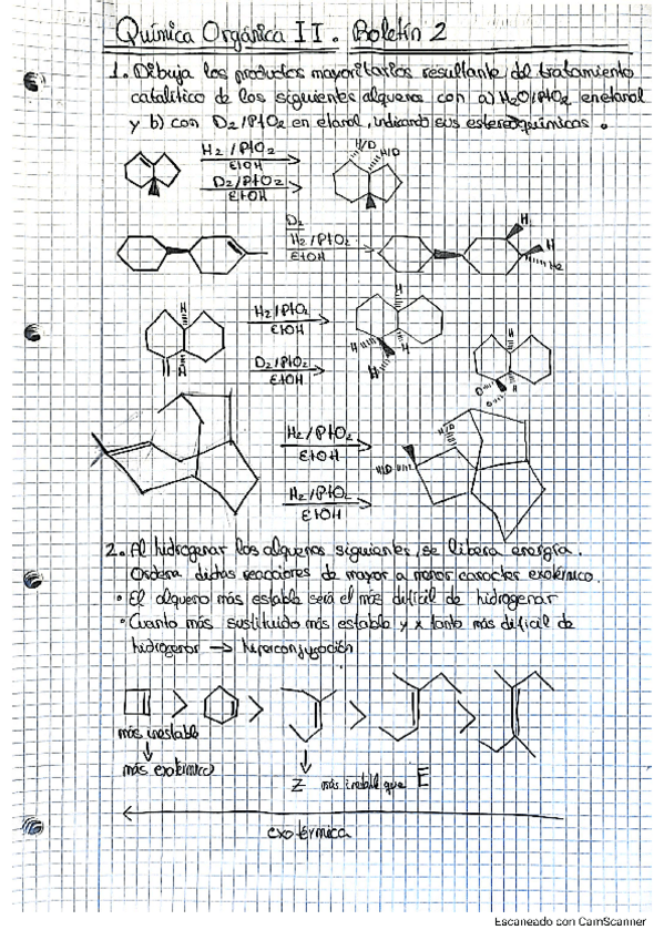 Miniatura del documento Boletin-2.pdf