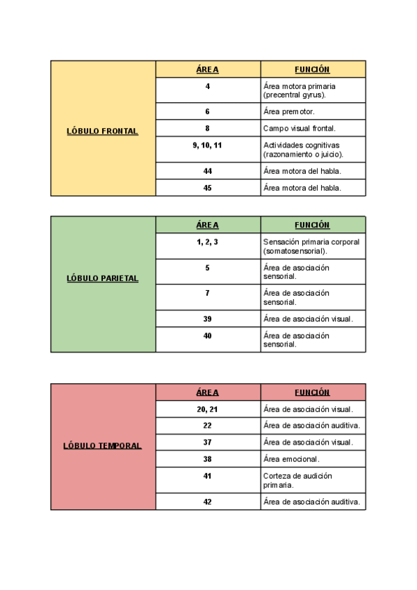 Miniatura del documento Areas-funcion-cerebro.pdf