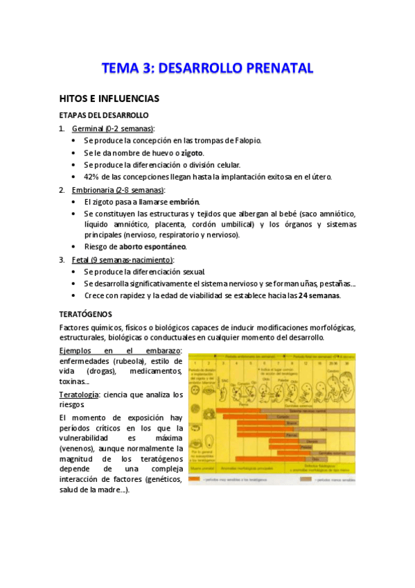 Miniatura del documento apuntes-T3-CV.pdf