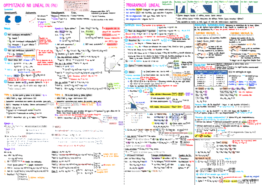 Miniatura del documento OPTISIM-Formulario-Final.pdf