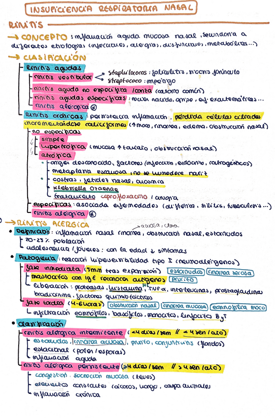 Miniatura del documento Insuficiencia-respiratoria-nasal.pdf