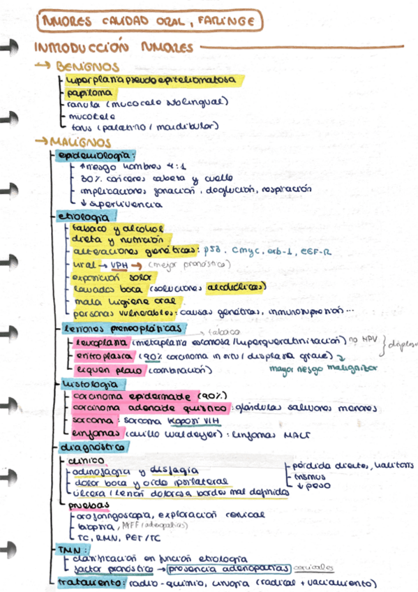 Miniatura del documento Tumores-cavidad-oral.pdf