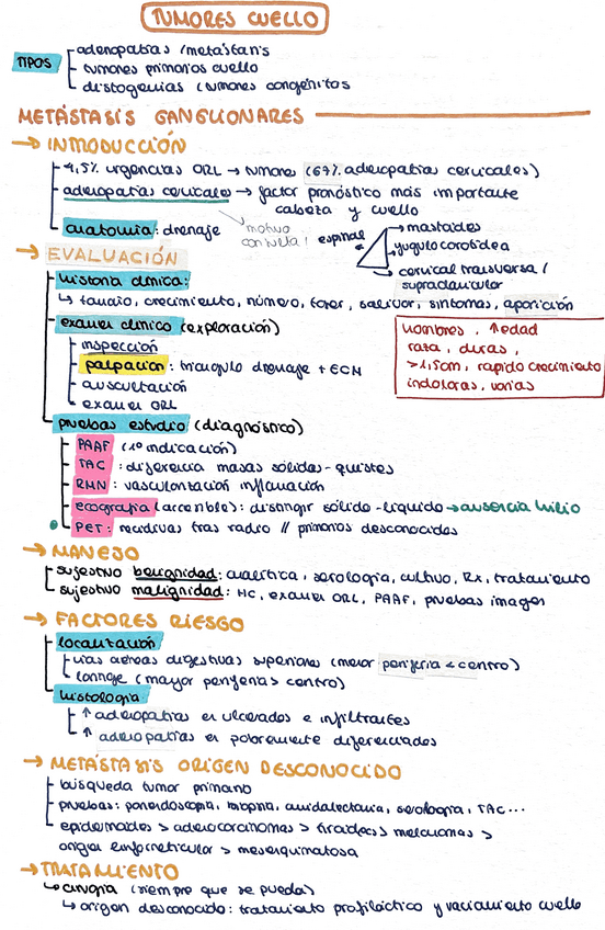 Miniatura del documento Tumores-cuello.pdf