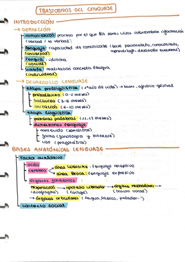 Miniatura del documento Trastornos-lenguaje.pdf