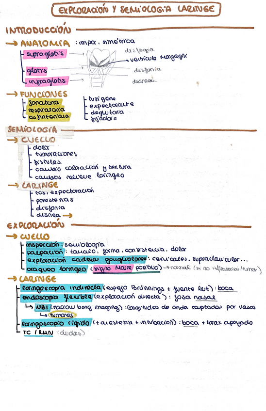 Miniatura del documento Exploracion-y-semiologia-laringe.pdf