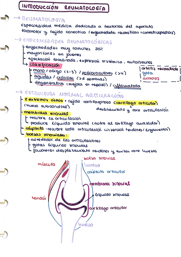 Miniatura del documento Introduccion.pdf