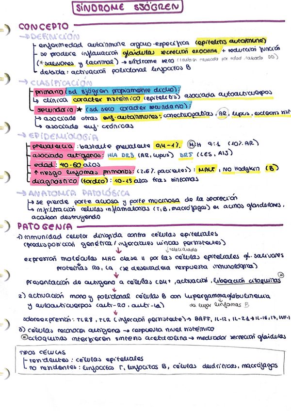 Miniatura del documento Sd-Sjogren.pdf