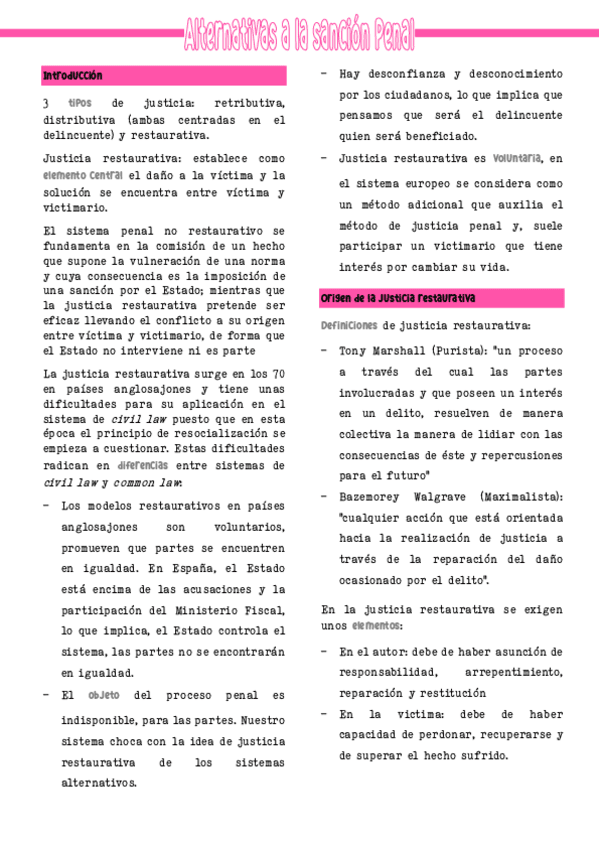 Miniatura del documento resumen-alternativa-a-la-sancion-penal.pdf