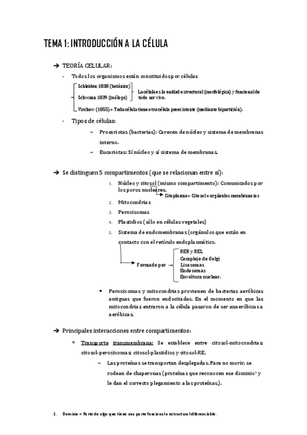 Miniatura del documento Apuntes-temas-1-9.pdf