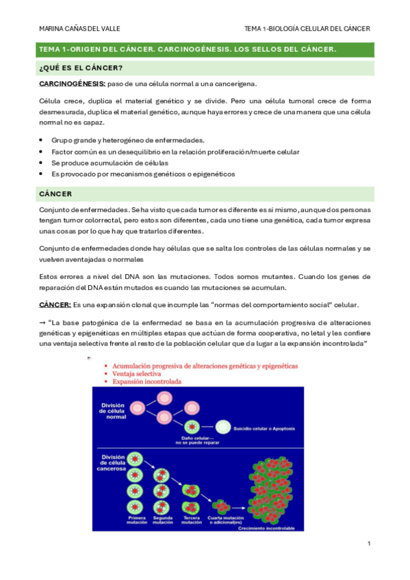 Miniatura del documento TEMA-1-Origen-del-cancer.-Carcinogenesis.-Los-sellos-del-cancer..pdf