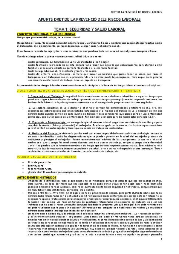 Miniatura del documento apunts-dret-de-la-prevencio-de-riscos-laborals-1.pdf