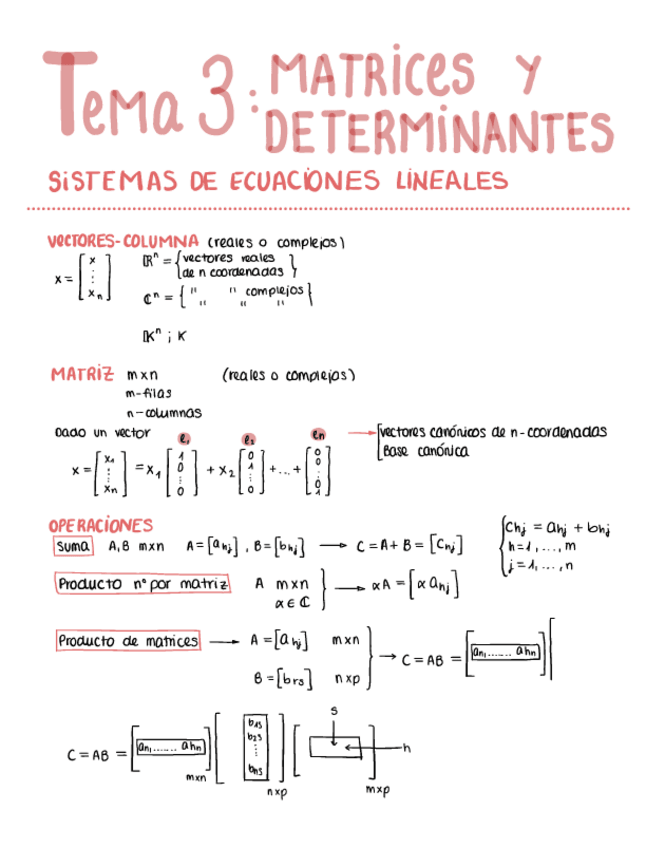 Miniatura del documento Tema-3-Matrices-y-determinantes..pdf