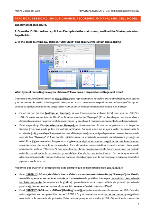Miniatura del documento PRACTICAL-SESSION-2-MARINA-CANAS-DEL-VALLE.pdf