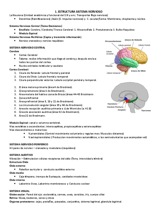 Miniatura del documento Resumen-Final-SAAC.pdf