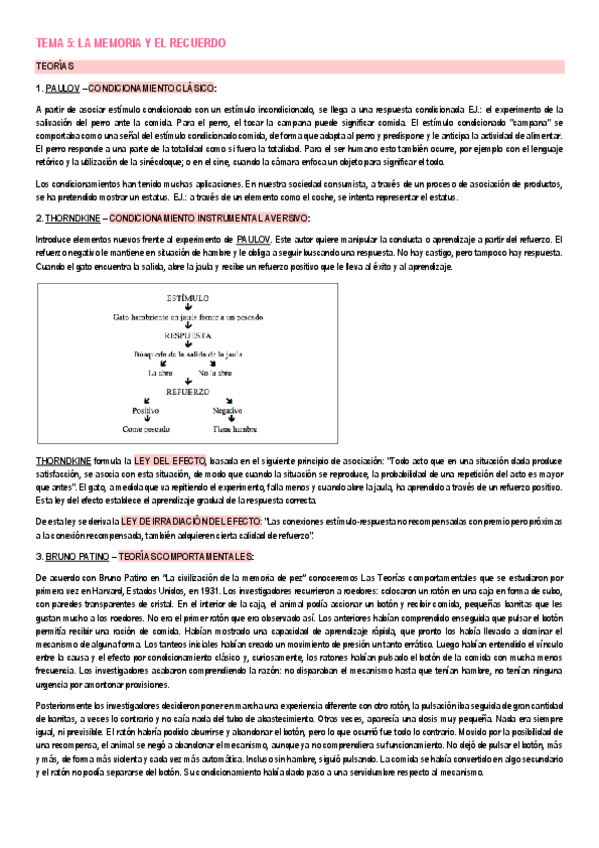 Miniatura del documento Tema-5-La-memoria-y-el-recuerdo.pdf