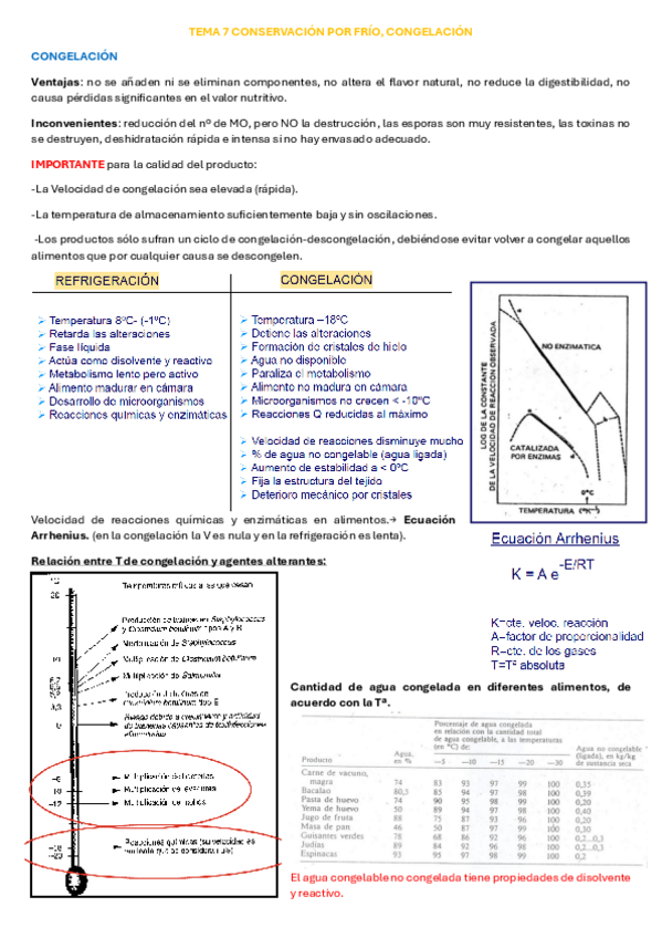 Miniatura del documento APUNTS-T7.pdf
