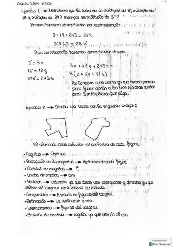 Miniatura del documento Examen-enero-2025.pdf
