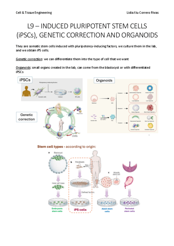Miniatura del documento Lesson-9.pdf