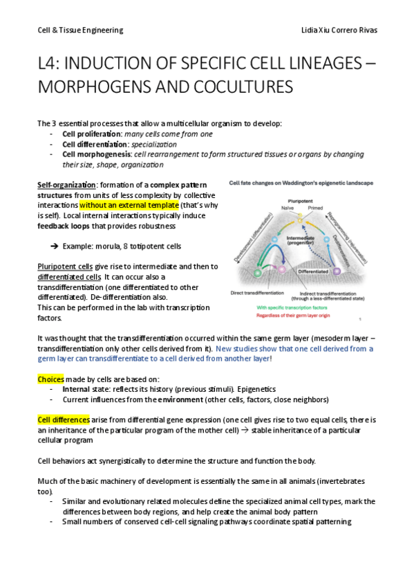 Miniatura del documento Lesson-4.pdf