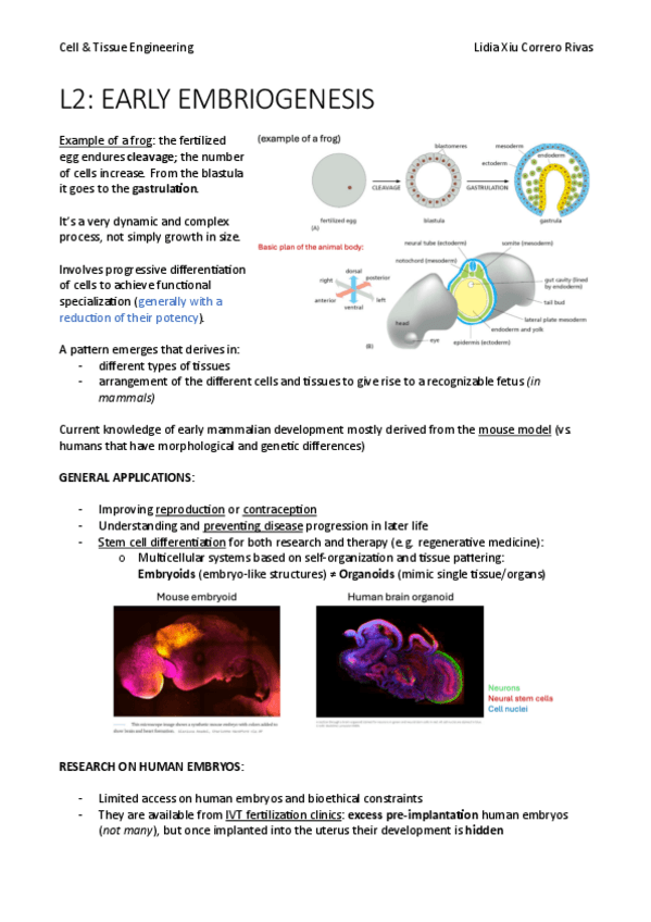 Miniatura del documento Lesson-2.pdf