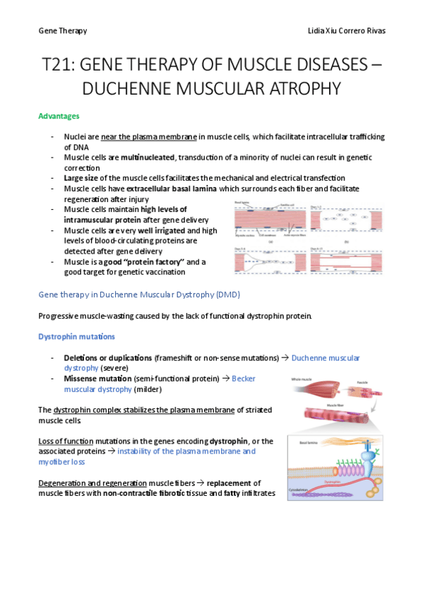 Miniatura del documento T21.pdf