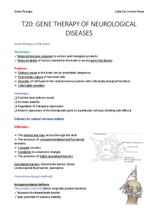 Miniatura del documento T20.pdf