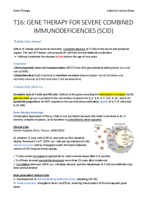 Miniatura del documento T16.pdf