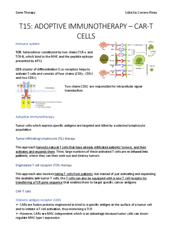 Miniatura del documento T15.pdf