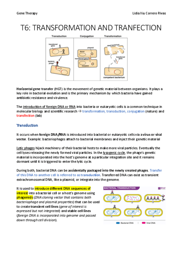 Miniatura del documento T6.pdf