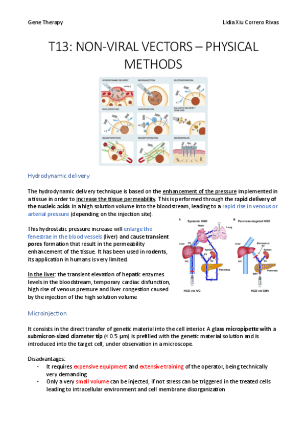 Miniatura del documento T13.pdf