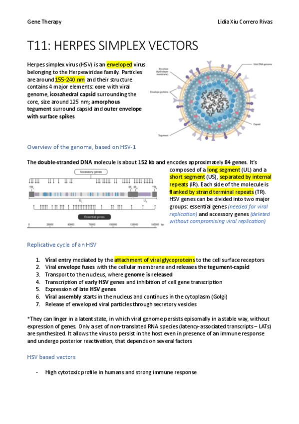 Miniatura del documento T11.pdf