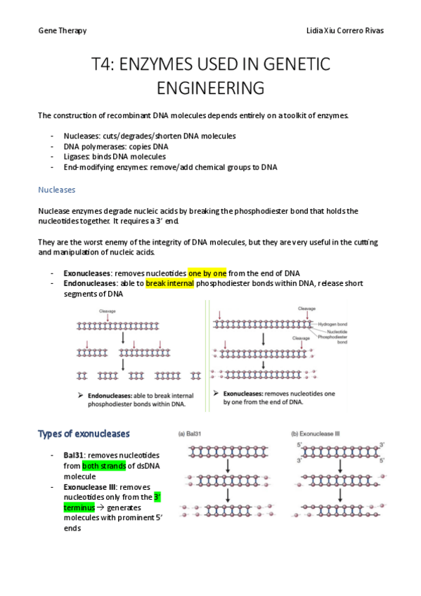 Miniatura del documento T4.pdf