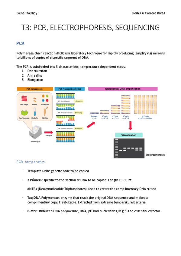 Miniatura del documento T3.pdf