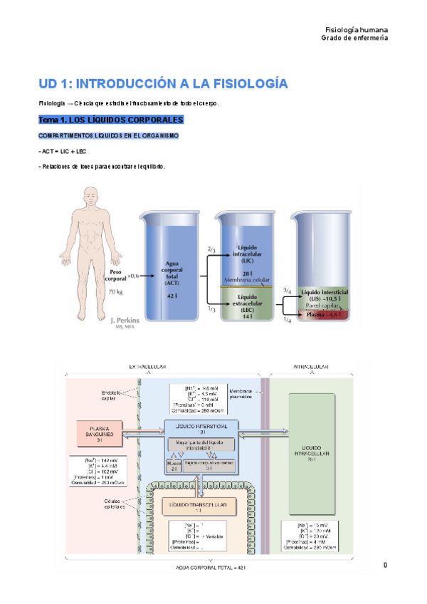Miniatura del documento tema-1-fisiologia-humana.pdf