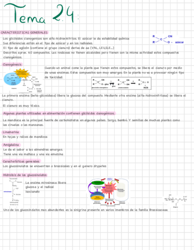 Miniatura del documento TEMA-2.4.pdf