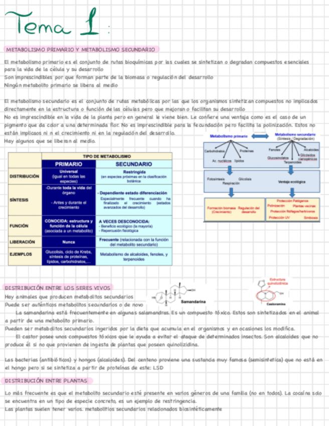 Miniatura del documento TEMA1.pdf