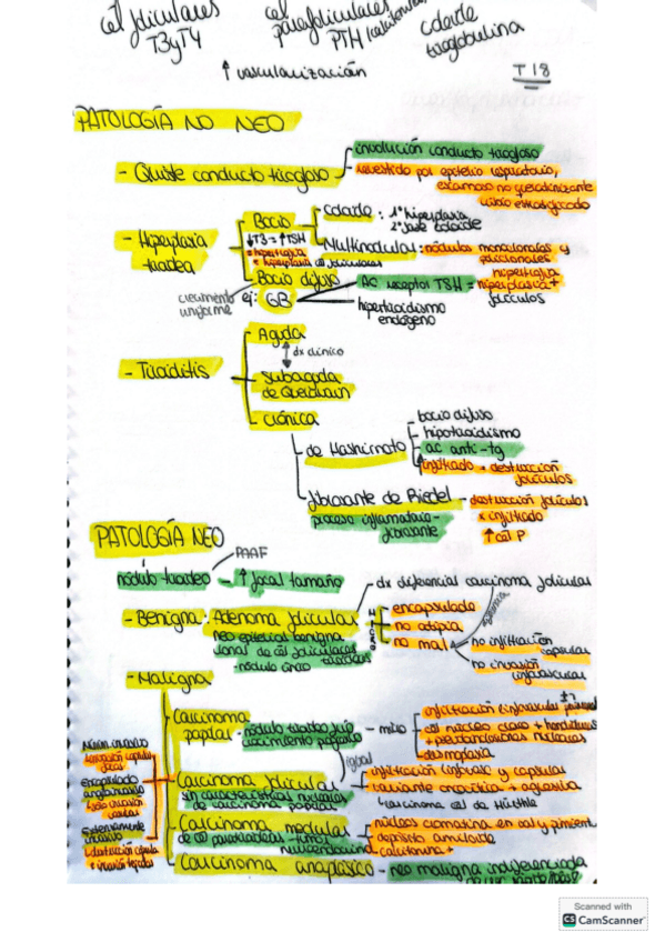 Miniatura del documento tema-18-17.06.23.pdf