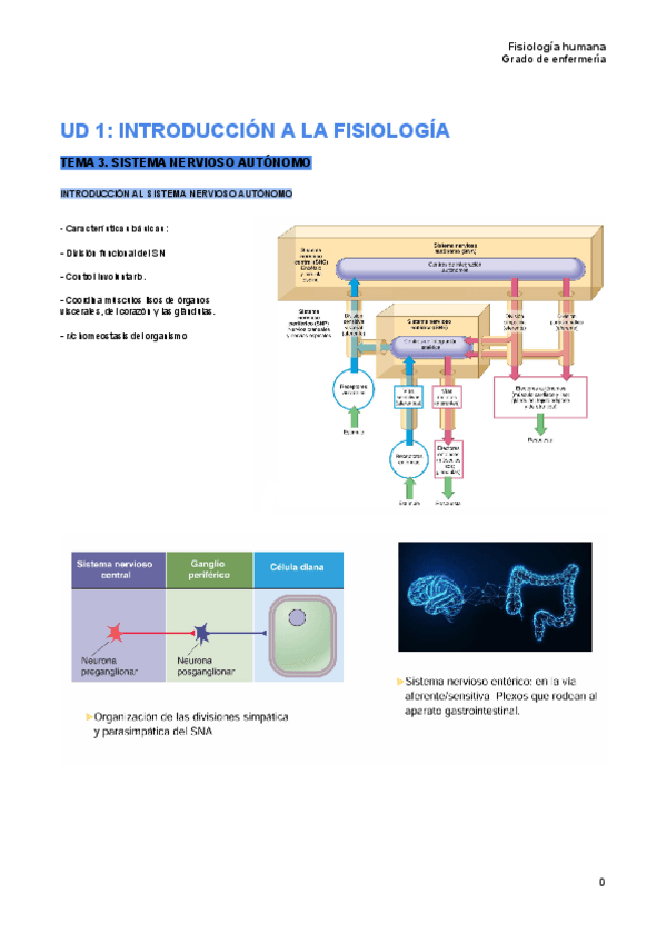 Miniatura del documento Tema-3-fisiologia-humana.pdf