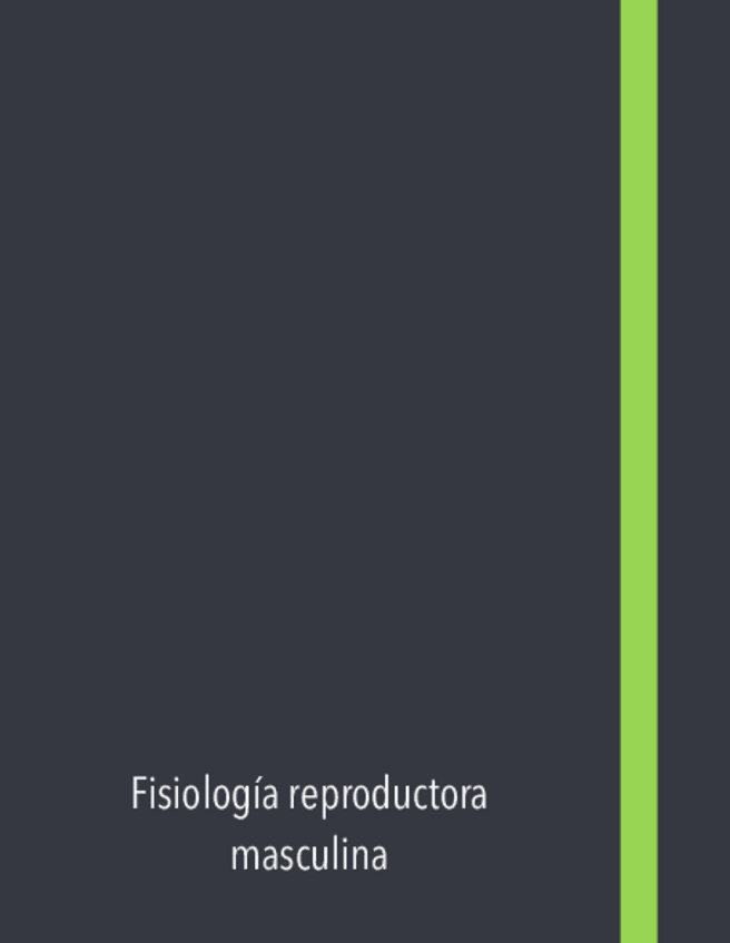 Miniatura del documento Fisiologia-Masculina.pdf