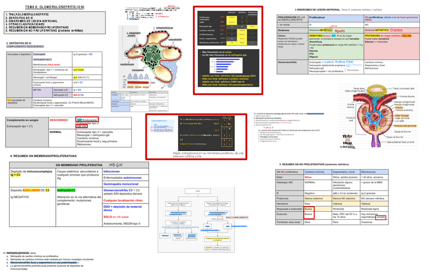 Miniatura del documento 6.-Glomerulonefritis-Primarias.pdf