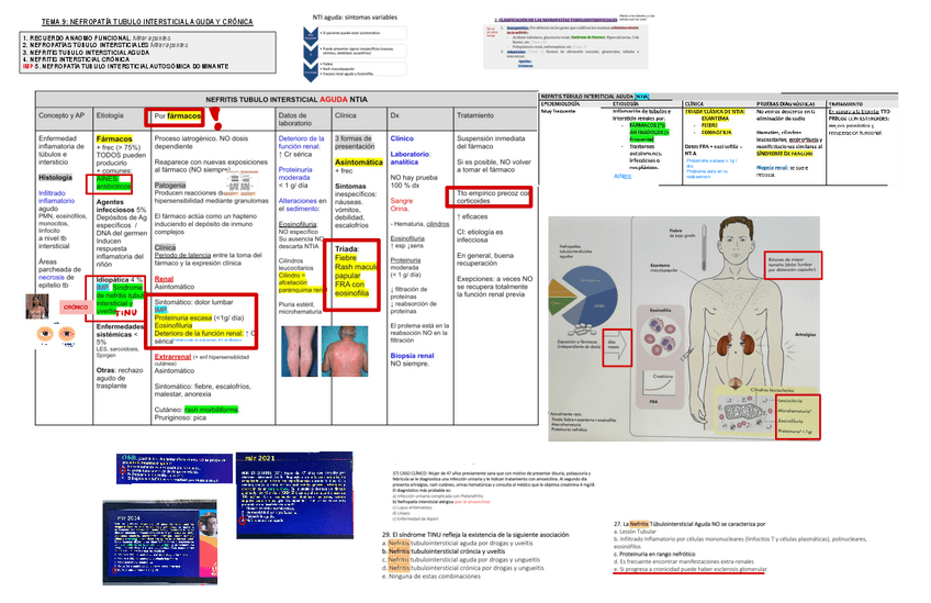 Miniatura del documento 9.-Trastornos-Tubulo-Intersticiales.pdf
