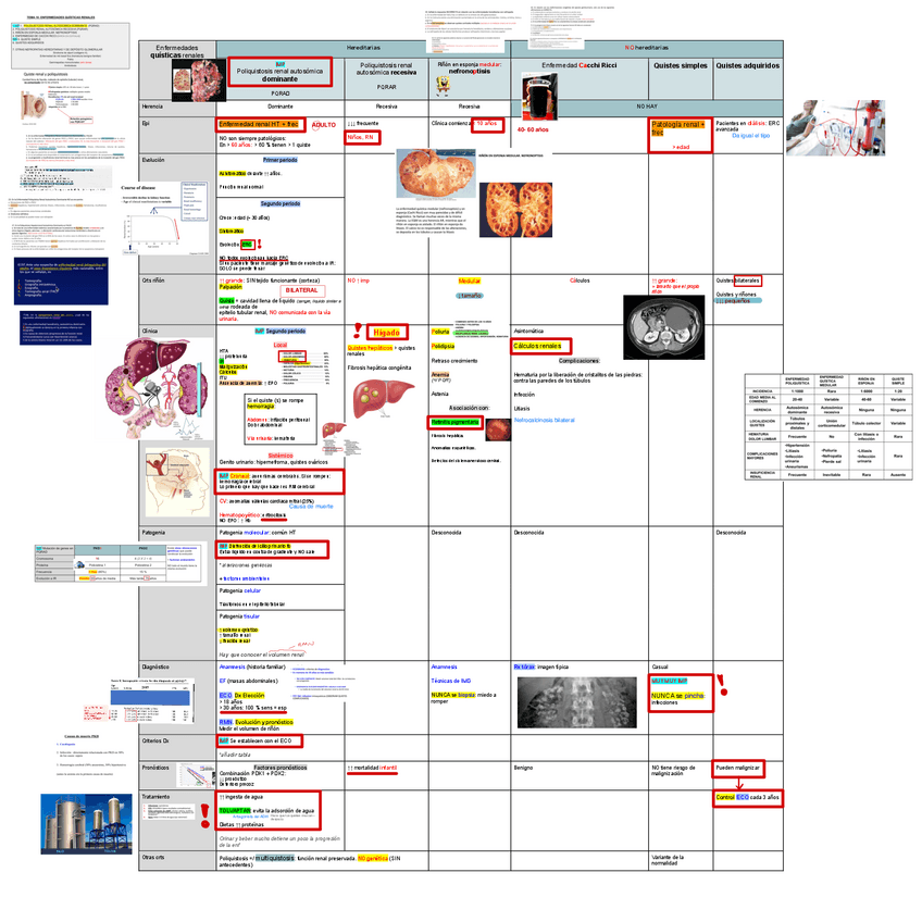 Miniatura del documento 10.-Enfermedades-quisticas-renales-Y-de-Deposito.pdf
