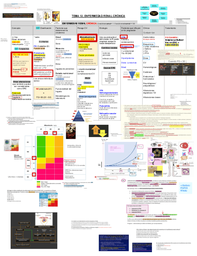 Miniatura del documento 12.-Enfermedad-Renal-Cronica.pdf