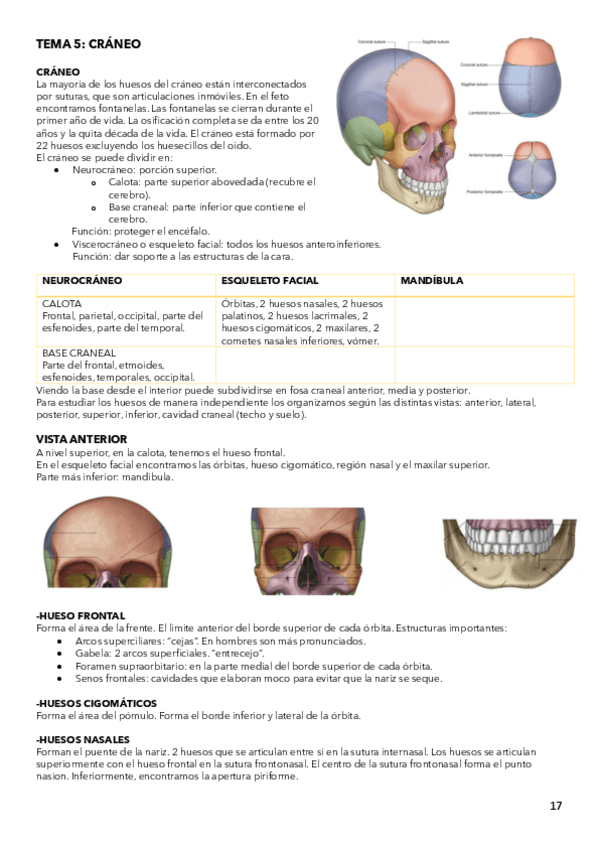 Miniatura del documento ANATOMIA-ESPECIAL-T-5.pdf